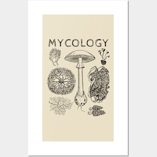 Mycology Fungi Mushroom Posters and Art